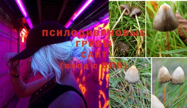 трава Алексеевка