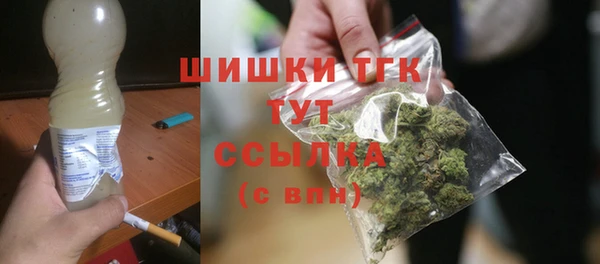 СК Алексин
