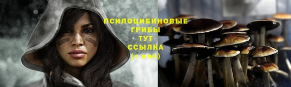 кристаллы Алзамай
