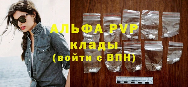 СК Алексин