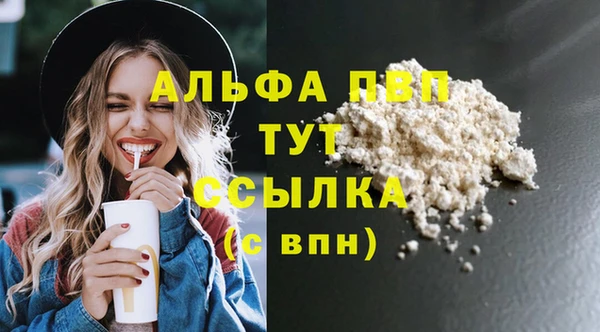 СК Алексин