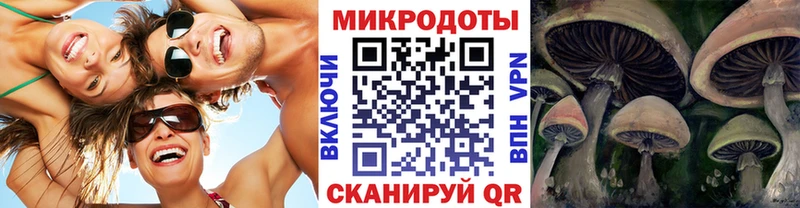 Псилоцибиновые грибы мицелий  Томск 